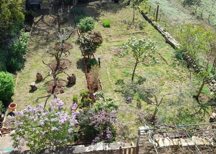 Apartament Mili *