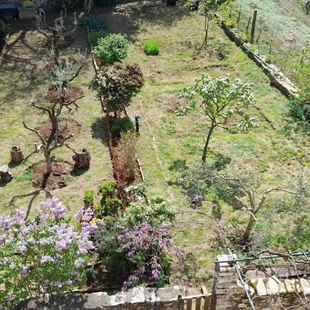 Διαμέρισμα Mili *